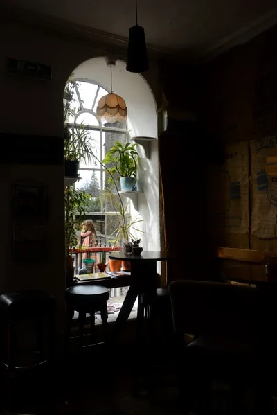 DSC_7302 (Large).JPG